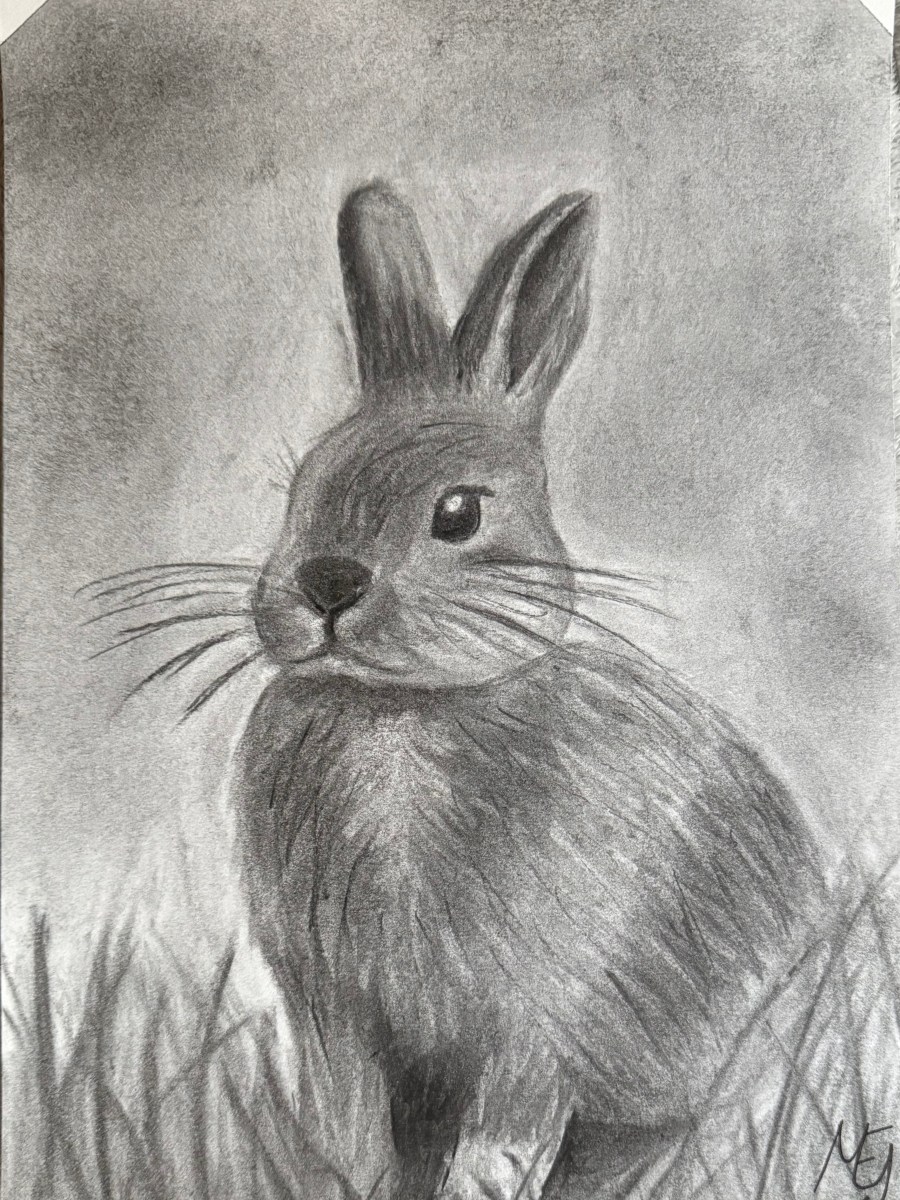 Más Allá del&nbsp;Resultado